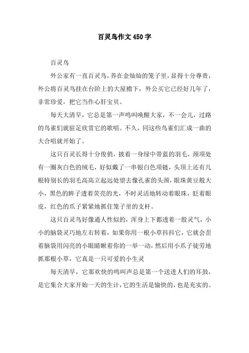 百灵鸟作文450字