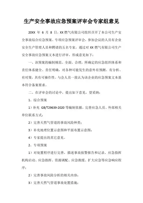生产安全事故应急预案评审会专家组意见