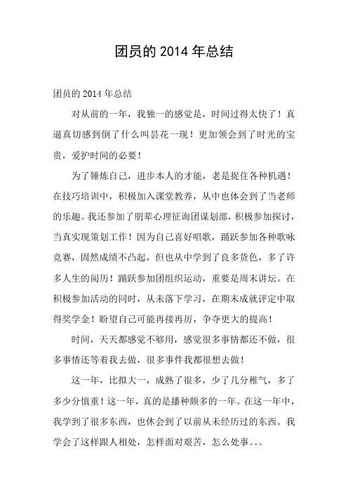 团员的2014年总结