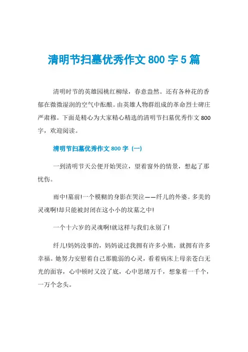 清明节扫墓优秀作文800字5篇