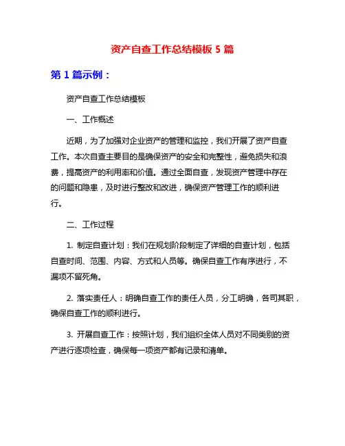 资产自查工作总结模板5篇