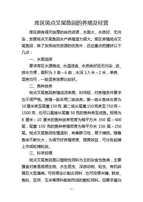 库区斑点叉尾鱼回的养殖及经营
