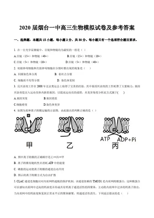 2020届烟台一中高三生物模拟试卷及参考答案