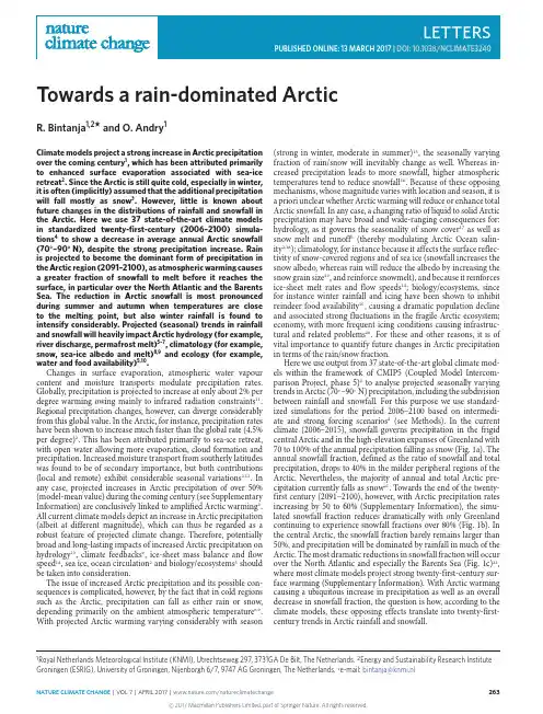 Towards a rain-dominated Arctic