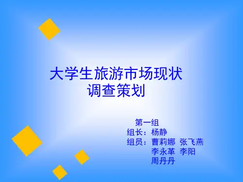 大学生旅游市场调研策划