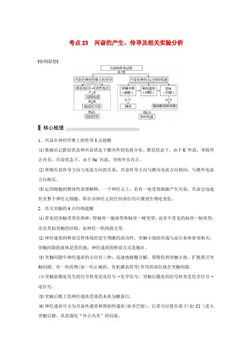 2016版高考生物二轮复习 考前三个月 专题7 人体的稳态及调节机制 考点23 兴奋的产生、传导及相关实验分析