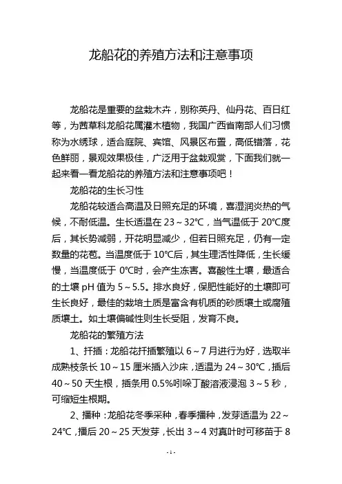 龙船花的养殖方法和注意事项