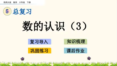 20.西师大版六年级数学下册1.3 数的认识(3)(优质课件)
