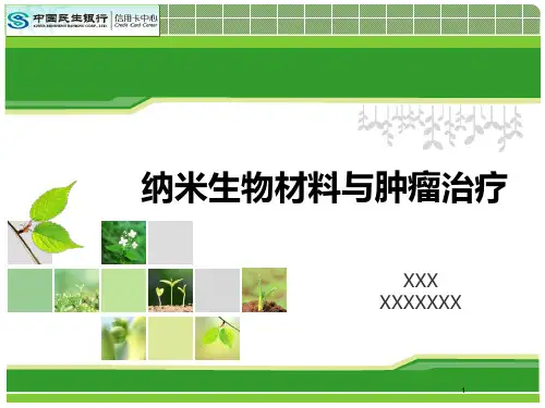 纳米生物材料PPT课件