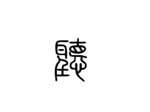 四年级下册语文优秀课件-课文15《鸟语》苏教版(共22张PPT)