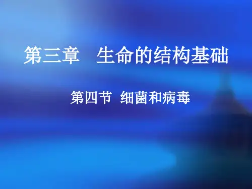 细菌和病毒 PPT课件