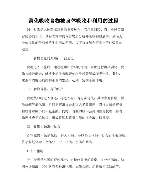 消化吸收食物被身体吸收和利用的过程