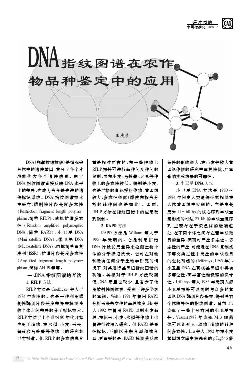 DNA指纹图谱在农作物品种鉴定中的应用