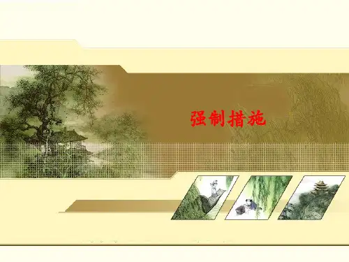 刑事诉讼法学(第六版)-强制措施和留置 课件PPT