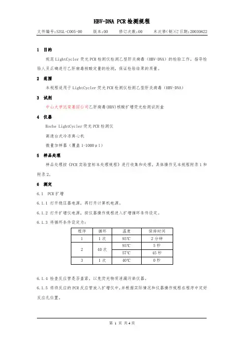 达安-HBV-DNA定量试剂说明书