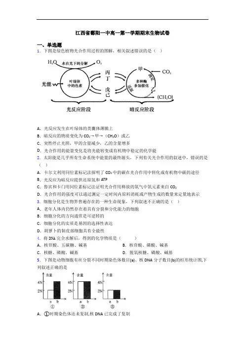江西省鄱阳一中高一第一学期期末生物试卷