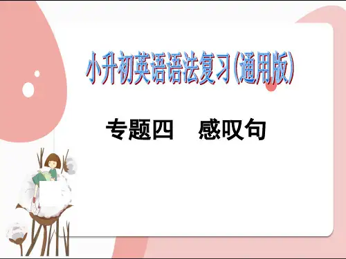 小升初英语语法复习专题四：感叹句(全国通用)