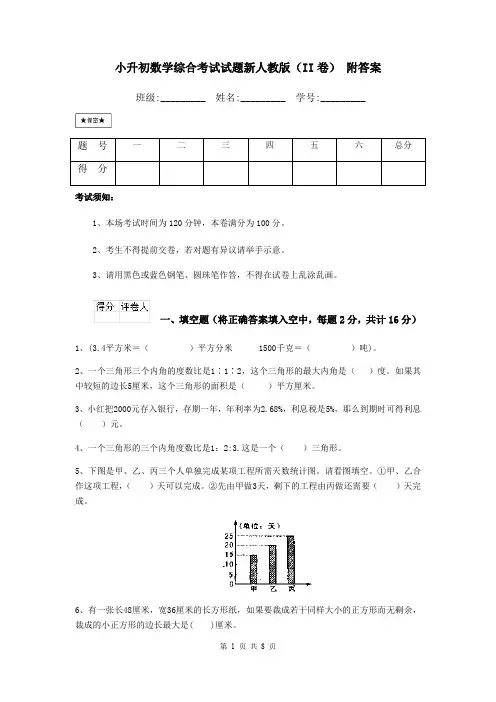 小升初数学综合考试试题新人教版(II卷) 附答案
