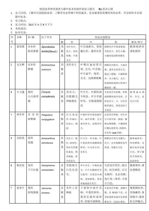 杂草实习报告