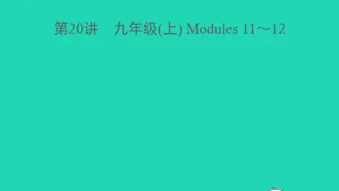 温州专版中考英语第20讲九年级(上)Modules11_12精讲本课件