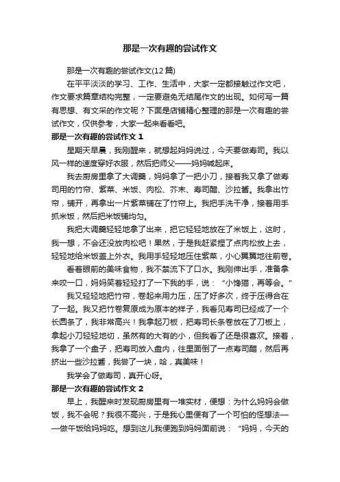 那是一次有趣的尝试作文