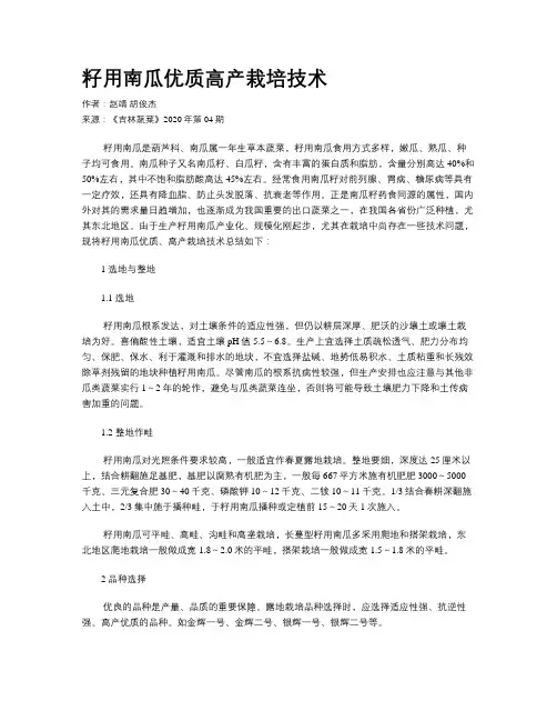 籽用南瓜优质高产栽培技术