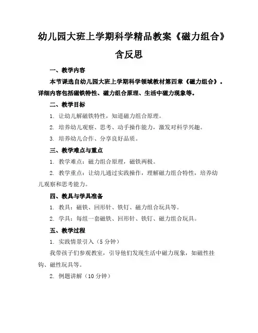 幼儿园大班上学期科学精品教案《磁力组合》含反思
