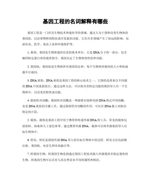 基因工程的名词解释有哪些