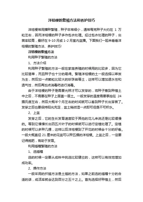 洋桔梗的繁殖方法和养护技巧