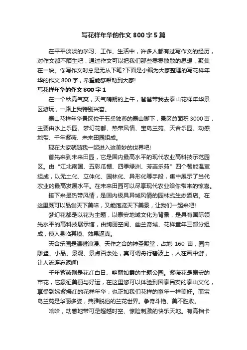 写花样年华的作文800字5篇