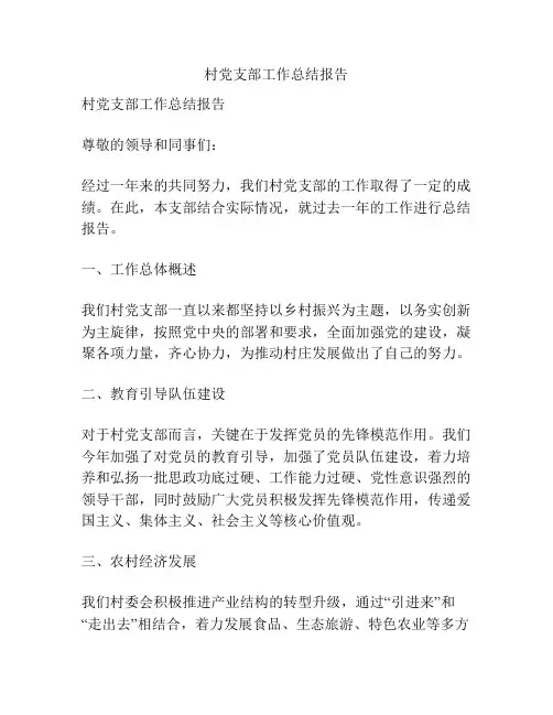 村党支部工作总结报告