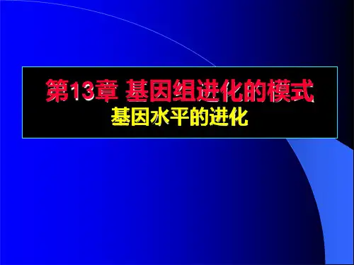 32-第13章 基因组进化的模式-基因水平的进化
