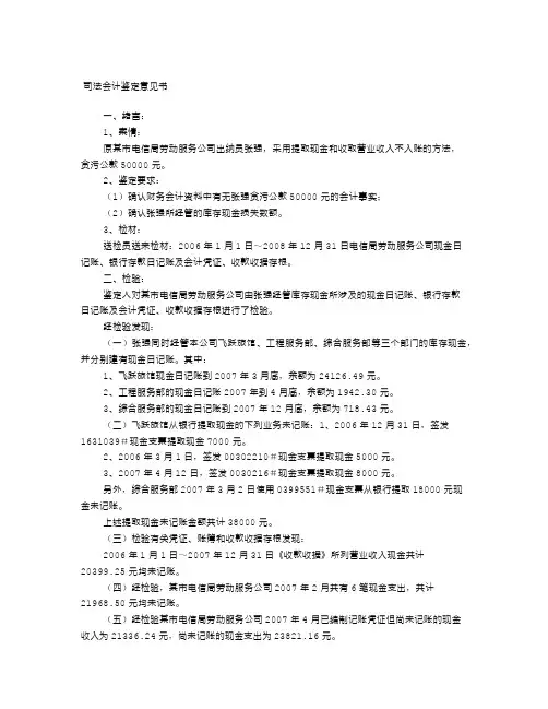 司法审计报告 