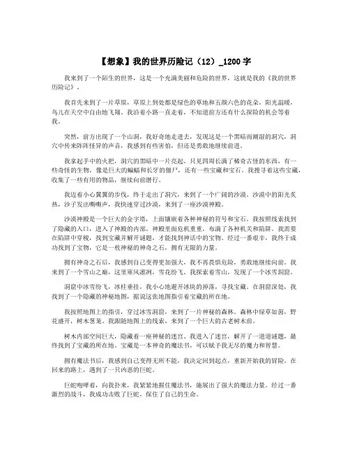【想象】我的世界历险记(12)_1200字