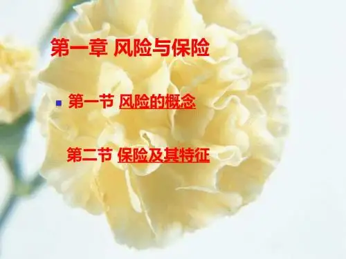 第一章 风险与保险 PPT课件
