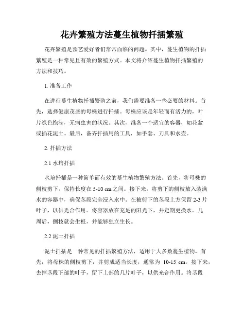 花卉繁殖方法蔓生植物扦插繁殖