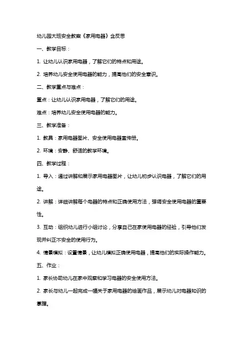 幼儿园大班安全教案《家用电器》含反思