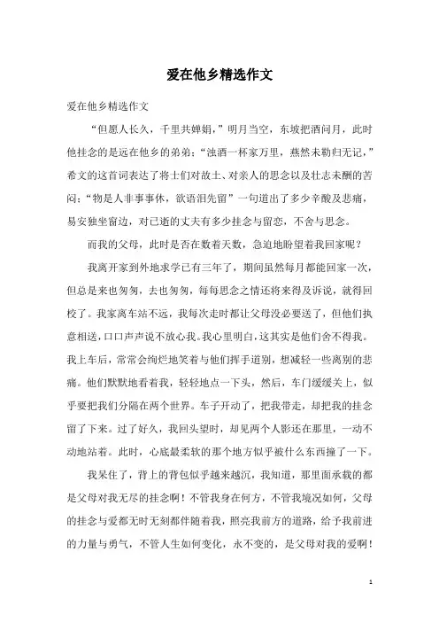 爱在他乡精选作文