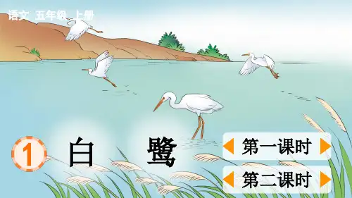 部编人教版五年级语文上册《白鹭》名师课件