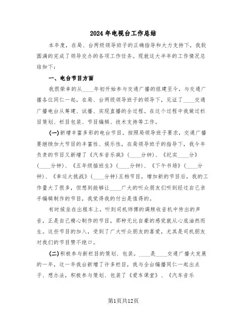 2024年电视台工作总结（五篇）