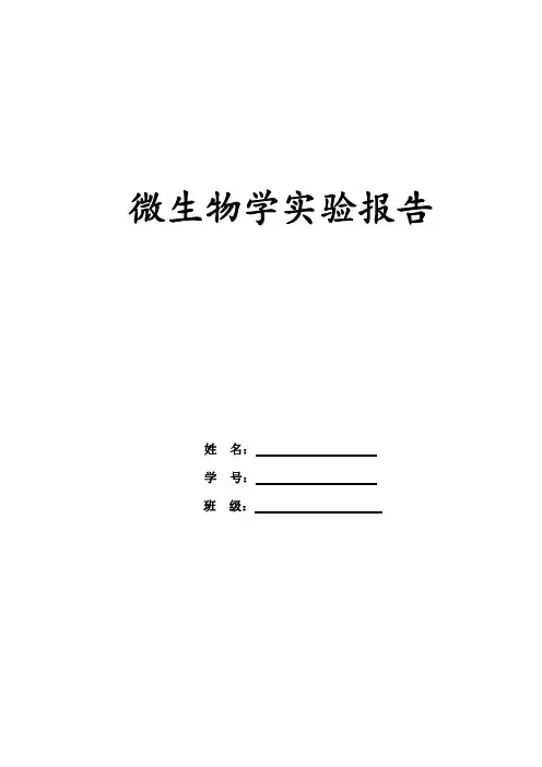 微生物实验报告2012