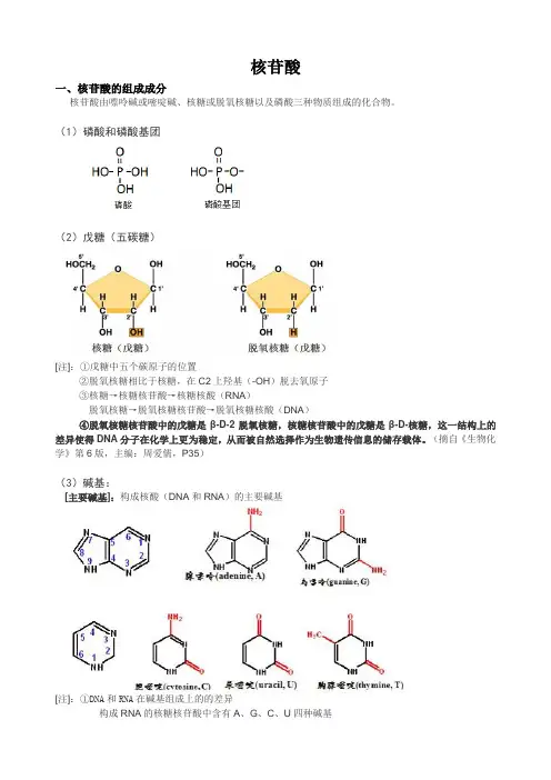 核苷酸