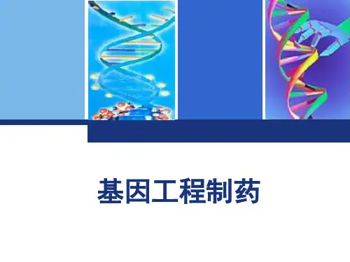 生物制药：基因工程制药3