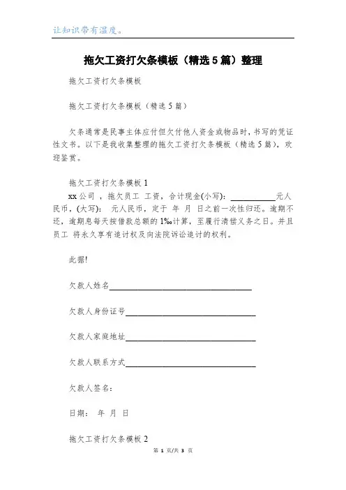 拖欠工资打欠条模板(精选5篇)整理