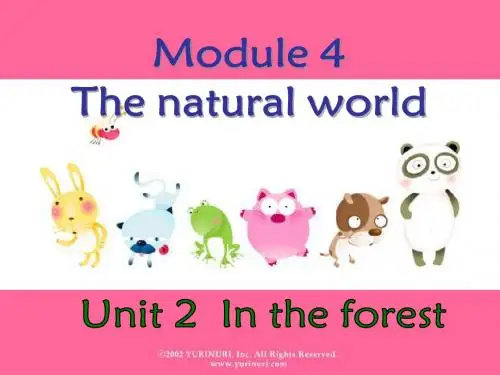 牛津上海版(深圳)英语二上Unit 11《In the forest》ppt课件3