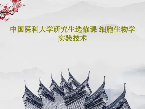 中国医科大学研究生选修课 细胞生物学实验技术154页PPT