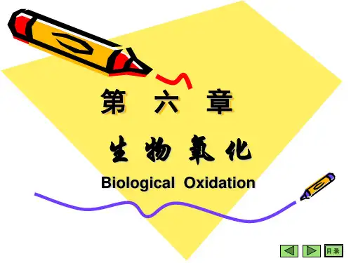 生物化学生物氧化PPT课件