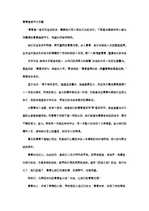 高中作文-青春随想作文五篇