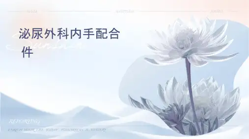 泌尿外科内镜手术配合护理课件