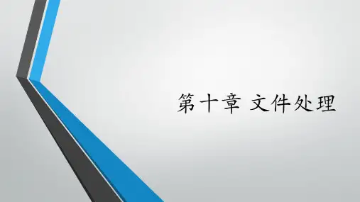 Python文件处理课件